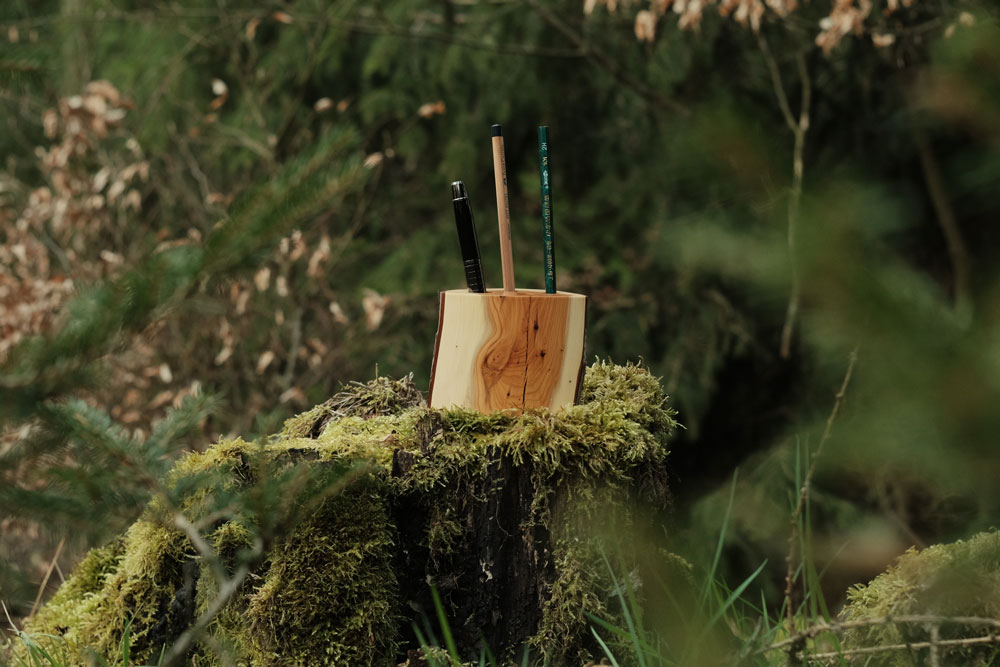 Stiftehalter aus Eibe auf moosbewachsenem Baumstumpf im Wald kurz vor Abenddämmerung