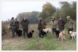 Hundeführer mit Retrievern