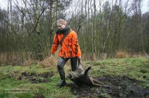 Jägerin in Warntarnjacke Blaze Orange AP mit erlegter Sau bei Drückjagd