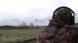 Jäger auf der Lockjagd am freundlichen Lockbild erlegt Rabenkrähe