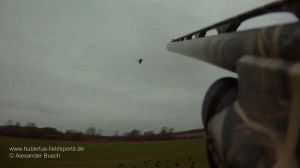 Guncam Aufnahme während Krähenerlegung