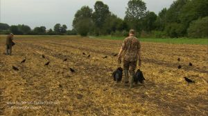 Jäger mit erlegten Rabenkrähen vor Lockbild