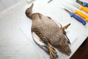 Ente auf Schneidbrett neben Messer