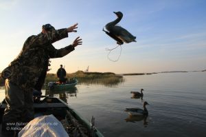 Jäger wirft Gänsedecoy über Bord