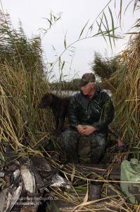 Jäger mit Wachtelhund im Boot sitzend, links erlegtes Wasserwild