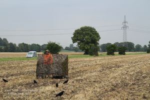 Krähenjäger im Tarnschirm mit Lockbild