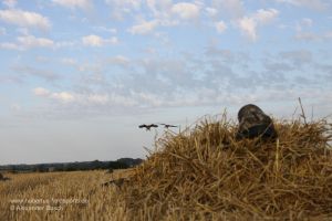 Jäger im Layout Blind wartet auf einfallende Gänse