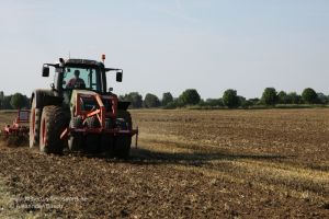 Schlepper bearbeitet Feld auf dem Krähen sitzen