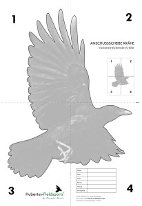 Anschussscheibe-Schrot-absreichende-Kraehe