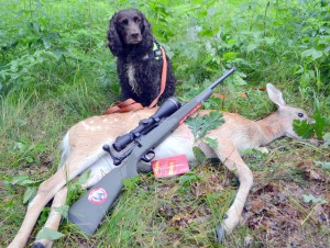 Savage Hog Hunter mit Leupold-Optik auf erlegtem Damwild, dahinter ein Jagdhund