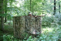 Tarnstand für die Blattjagd im Wald, der Jäger ist nur schwer auszumachen
