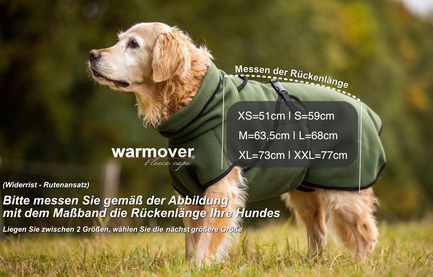 Hund mit Actionfactory-Warmover-Fleece-Mantel und Maßband-Markierung, diese ist zwischen Widerrist und Routenansatz - so wird die richtige Größe ermittelt.