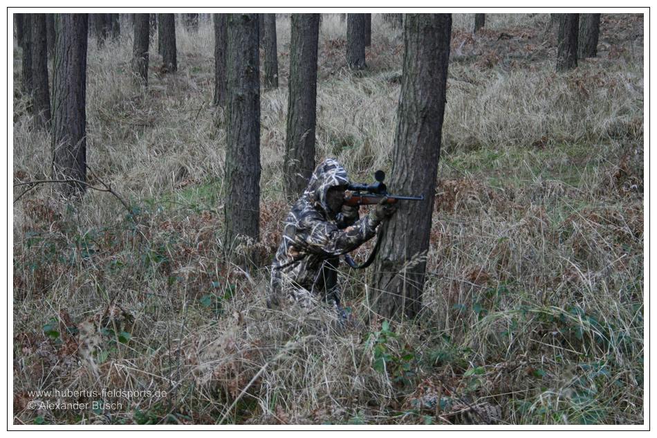 Gut getarnt auf der Jagd