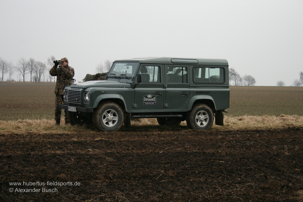 Zur Planung der Gänsejagd muss der Jäger die aktuell bevorzugten Fraßplätze herausfinden