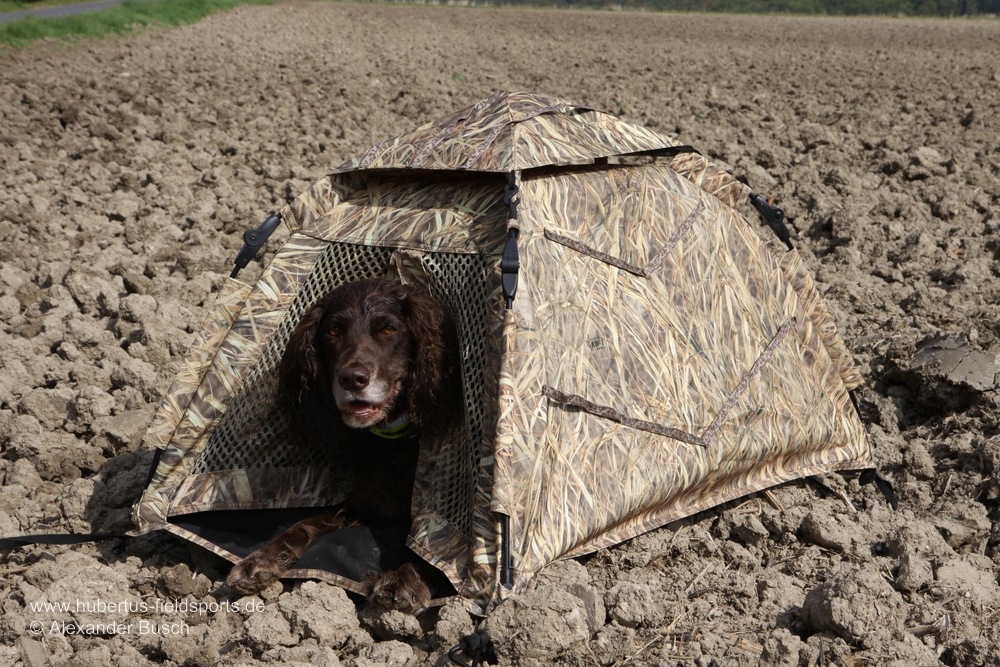 Bis zum Apport muss der Hund regungslos in seiner Hütte verharren, damit die Gänse nicht skeptisch werden