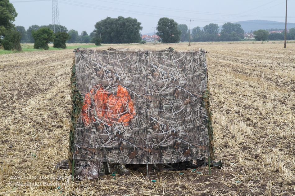 Deutlich zeichnet sich der Jäger im Stand ab. Er wird kaum Erfolg bei der Krähenjagd haben. Jäger mit Jacke in Blaze Orange im Tarnschirm