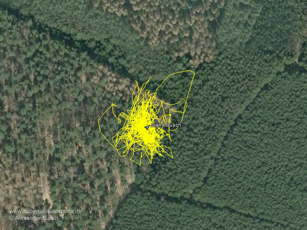 Nach der Jagd kann geschaut werden, wie und wo der Hund gestöbert hat