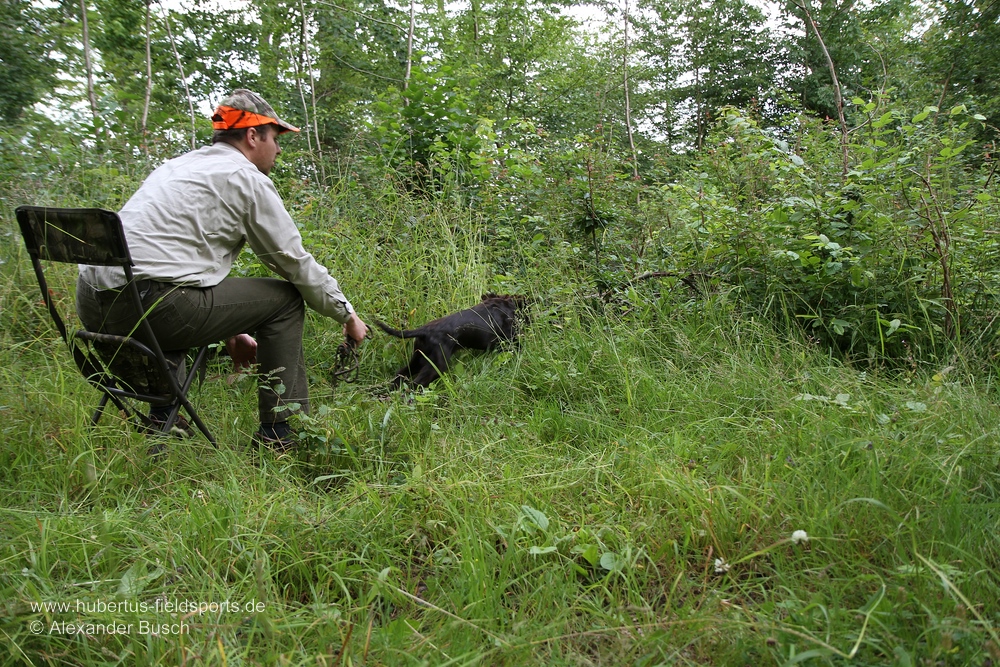 Das Interesse des jungen Hundes ist geweckt - los gehts